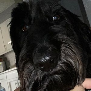 Reasonable offers are welcomed!